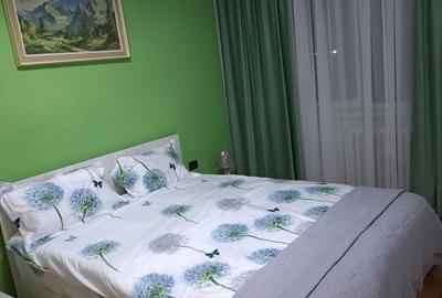 Apartament cu 2 camere semidecomandat în Podgoria - 5