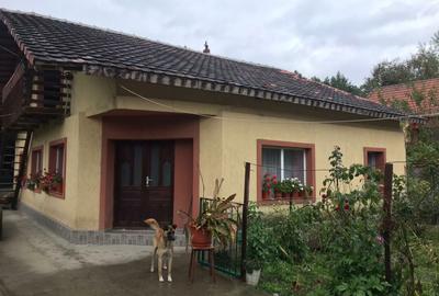 Casă cu 4 camere cu Teren 2500 Mp în Ilovăț - 7