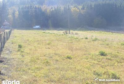 Teren de 10800 mp, în Căpușu Mare - 3