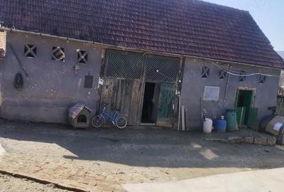 Casă cu Teren 4642 Mp în Bârsău - 2