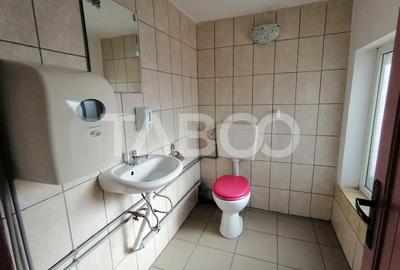 Spatiu comercial pe 2 niveluri cu vad 440 utili zona Terezian Sibiu - 15