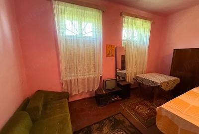 Casă cu 3 camere cu Teren 600 Mp în Periam - 2