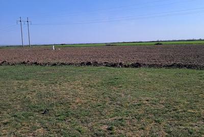 Teren de 671 mp, în Sacoșu Turcesc - 4