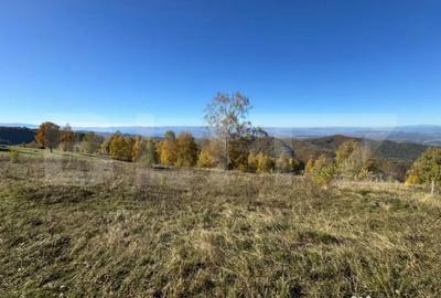 Teren de 6360 mp, în Central - 3