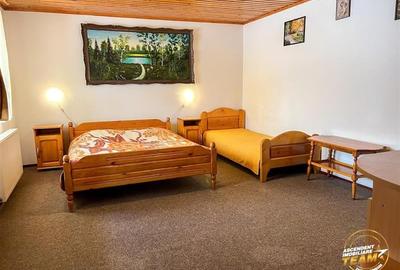 Tu 3D! Pensiune in areal pretios, Moieciu, Bran, Brasov - 23