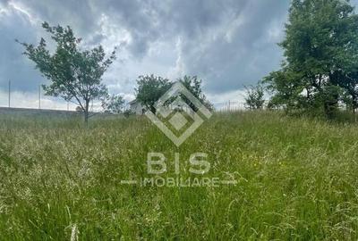 Teren Intravila Zona Centura - str. Livezi - 18