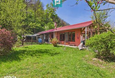 Casă cu 5 camere cu Teren 8000 Mp în Sânmartin - 11