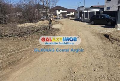 Spațiu comercial, în Trivale - 4