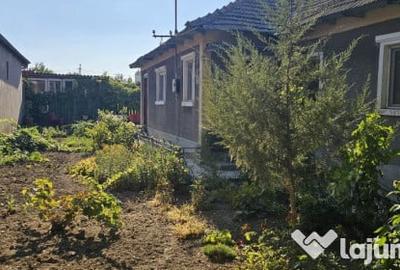Casă cu 3 camere cu Teren 748 Mp în Palazu Mare - 3