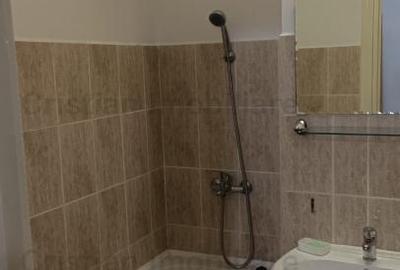 Garsonieră decomandată în Buzaului - 10