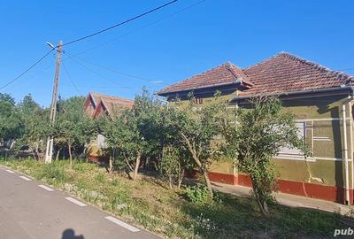 Vand casa + gradina, localitatea Apateu, jude?ul Arad Vand casa + gradina, localitatea Apateu, jude?ul Arad - 1