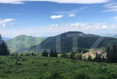 De vanzare, teren intravilan 10.000mp, Predeal - 9