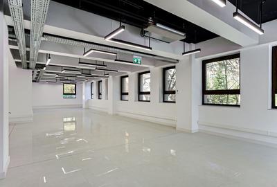 Spațiu modern de inchiriat destinat clinicilor sau companiilor - 2