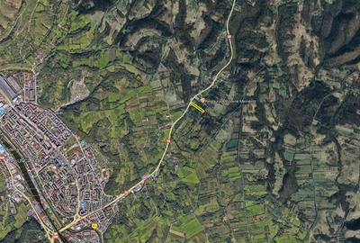 Teren Construcții intravilan de 5615 mp, în Calea Caransebeșului - 16