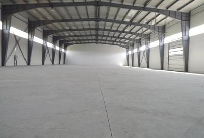 Spațiu industrial, de 15,000 mp, în Centura Est