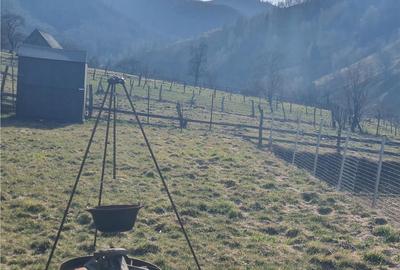 Teren intravilan de 1035 mp, în Râu Sadului - 17