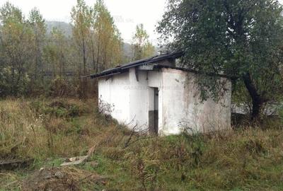 Teren 13.224,41 mp Vetel - 2