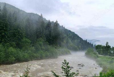 Casă cu 6 camere cu Teren 4600 Mp în Tarcău - 2