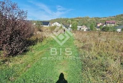 Teren agricol intravilan de 1705 mp, în Unirea - 4