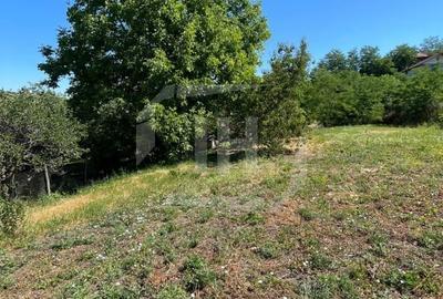 Teren intravilan, suprafata utila2460 mp, Cojocna - 3