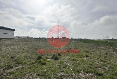 Teren de 513 mp, în Viile Noi