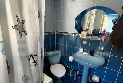 Casa individuala in zona Parcului Central - 4