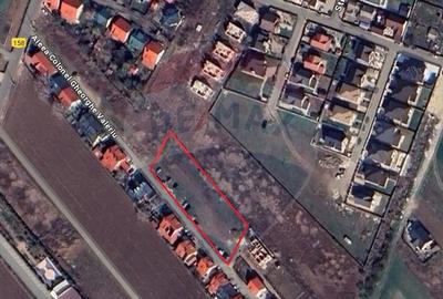 Teren pentru dezvoltare imobiliara in Darza Crevedia - 2