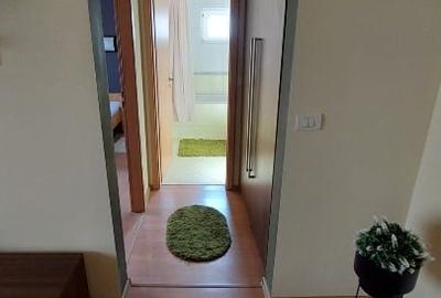 Apartament cu 2 camere semidecomandat, mobilat în Bucovina - 6