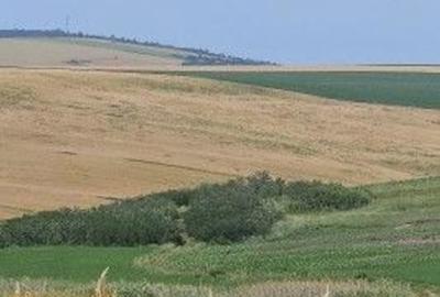 Teren de 1497 mp, în Aroneanu - 6