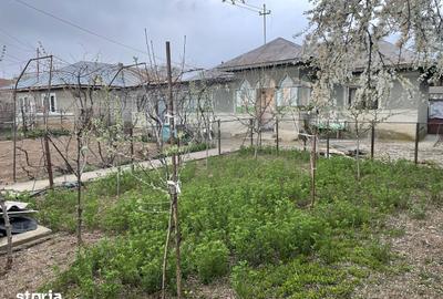 Casă cu 3 camere cu Teren 5239 Mp în Brazi