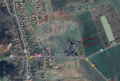 Teren de vanzare 4732 mp - Comuna Podari, sat Livezi