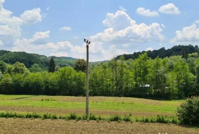 Teren de 7000 mp, în Ștubeie Tisa - 9