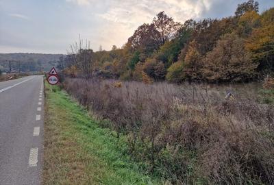 Teren 1,717mp Margineni / Strada Sat podis - 8