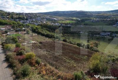 Teren de 6896 mp, în Borhanci - 7