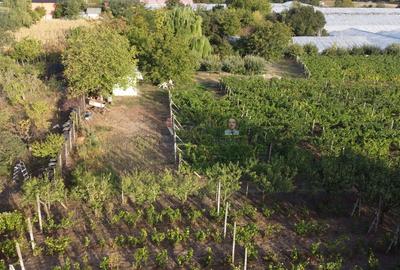 Teren intravilan Tecuci/Podgorie si Pomi Fructiferi/5000 mp - 12