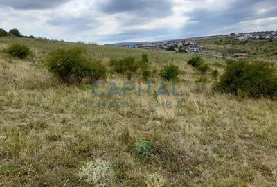 Oferta speciala! Teren intravilan, 9 400 mp, oportunitate de investitie! - 3