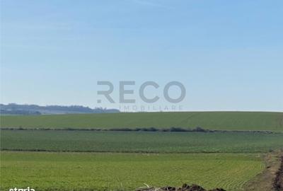 Teren de 42050 mp, în Tăut - 1