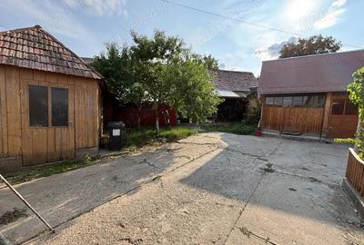 Casa de vanzare - Pianu de Sus - 9