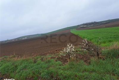 Spațiu comercial, în Ghenetea - 3