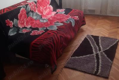 Apartament cu 3 camere decomandat în Take Ionescu - 2