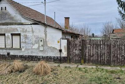 Casă cu 2 camere în Variașu Mic - 3