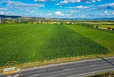 FILM! 30.200 mp teren intravilan,recomandat: investitie exploatare agricola,Valea Crisului - 3