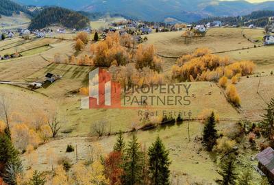 Teren cu PUZ aprobat Fundata / priveliste superba - 8