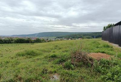 Oportunitate! Teren in Gilau, 2100 mp, toate utilitatile, ideal ansamblu privat - 5