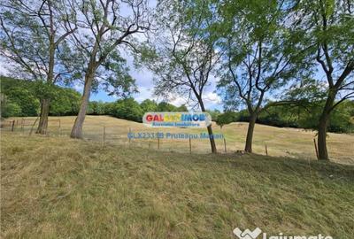 Teren de 2700 mp, în Curtea de Argeș - 4