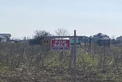 Teren de 1100 mp, în Ciorogârla - 3