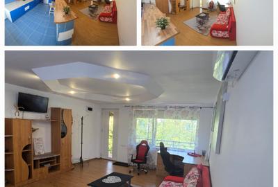 2 camere, în vila, la curte, centrala, parcare, pet friendly, metrou Gorjului, - 26