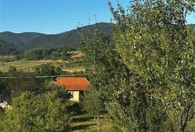 Reco Casa cu teren in Budureasa, langa Stana de Vale - 4