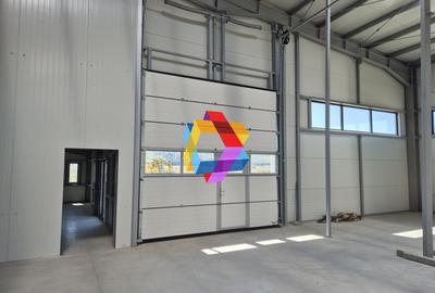 Hala - 1400 mp  # plus-imo.ro - 7