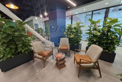 Birou, de 23 mp, în Pipera - 50